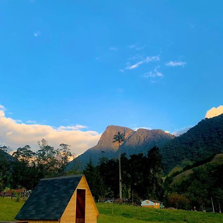 Refugio Nidos del Condor Cocora Salento Exterior foto