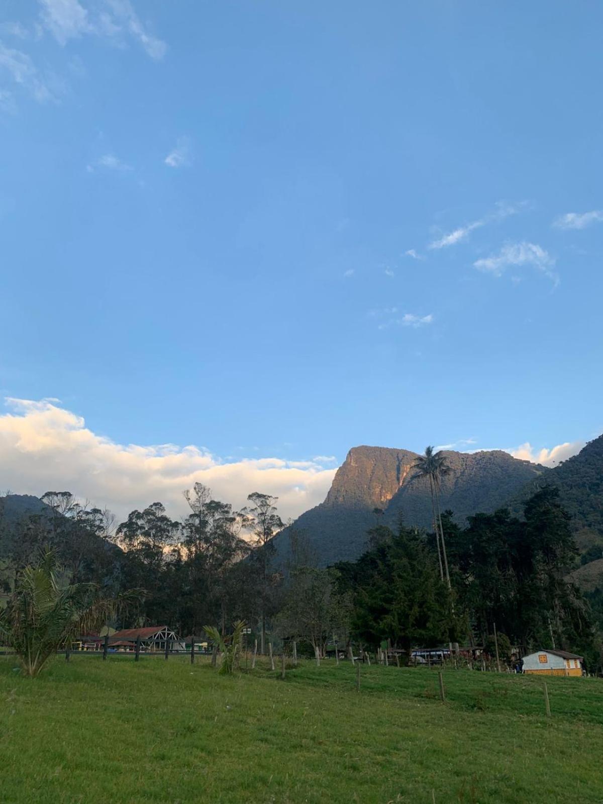 Refugio Nidos del Condor Cocora Salento Exterior foto