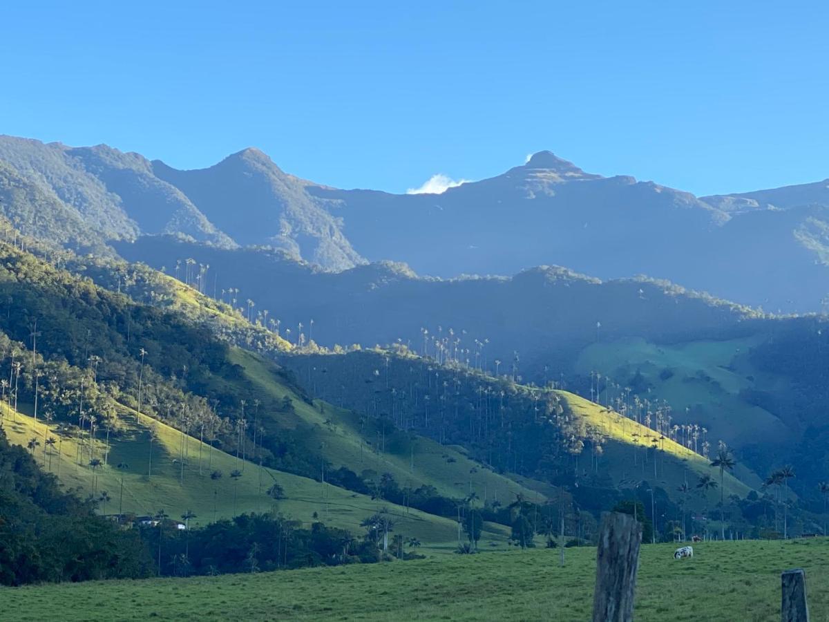 Refugio Nidos del Condor Cocora Salento Exterior foto